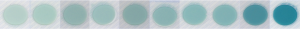 Array of Creatinine Slides